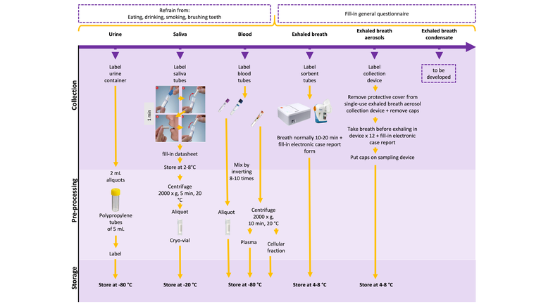 Schematic overview sample collection.png